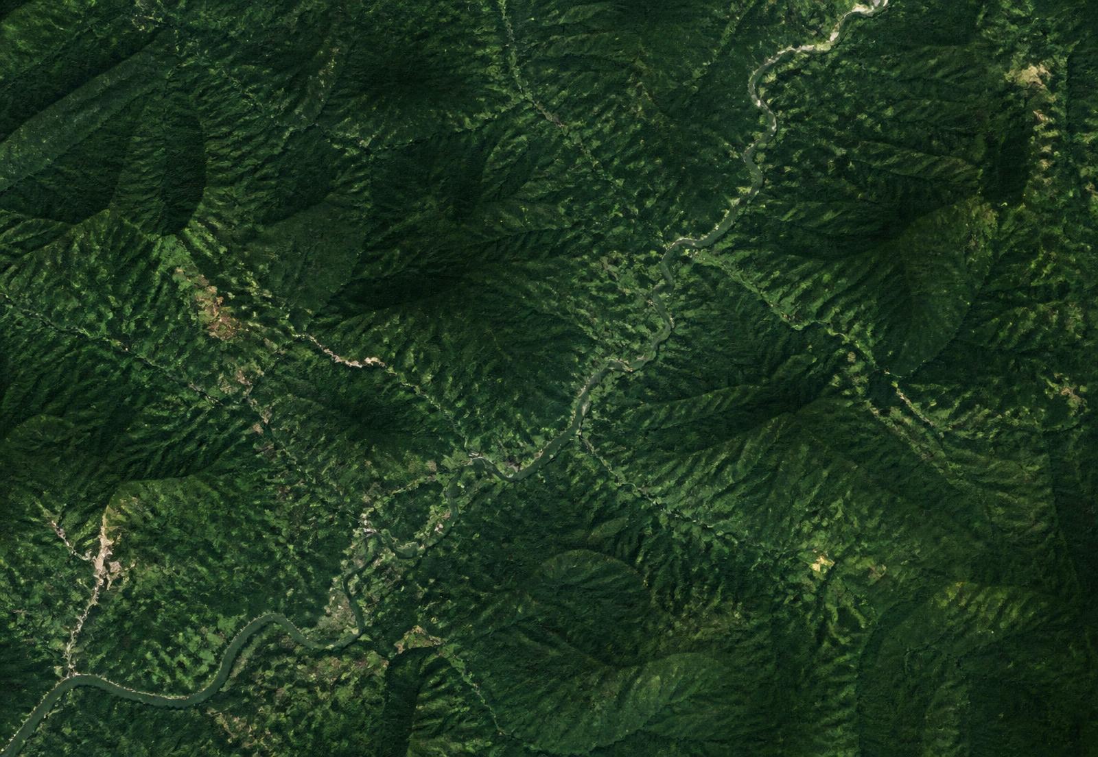 Aerial survey view of forested terrain in Cross River State